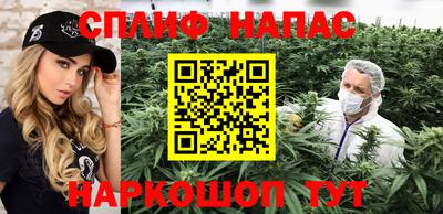 apvp Пугачёв