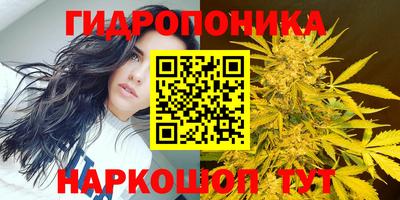apvp Пугачёв