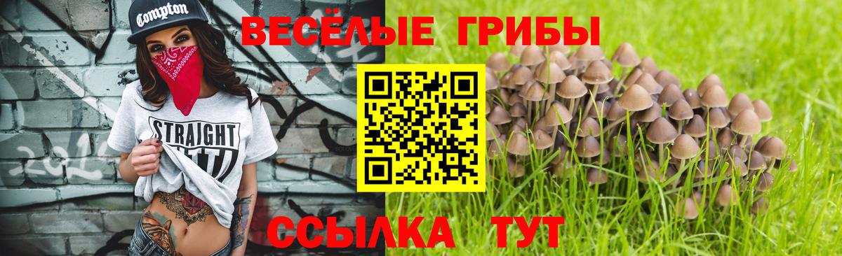 Галлюциногенные грибы Cubensis  Вход с VPN  Галлюциногенные грибы прущие грибы  купить наркотики сайты  Орск 