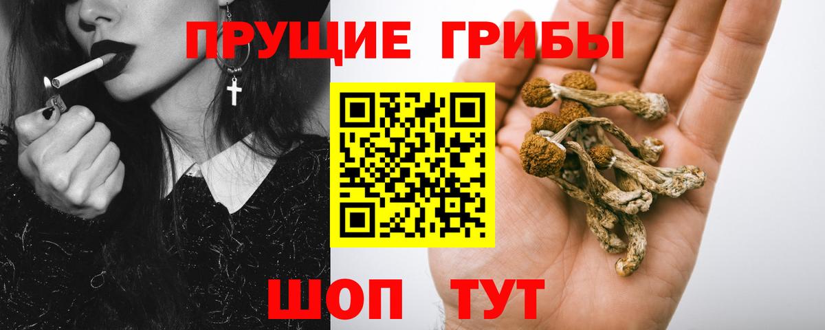 Галлюциногенные грибы ЛСД Орск
