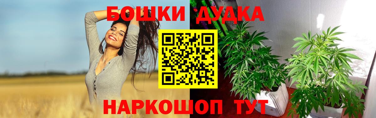 Бошки марихуана SATIVA & INDICA Орск